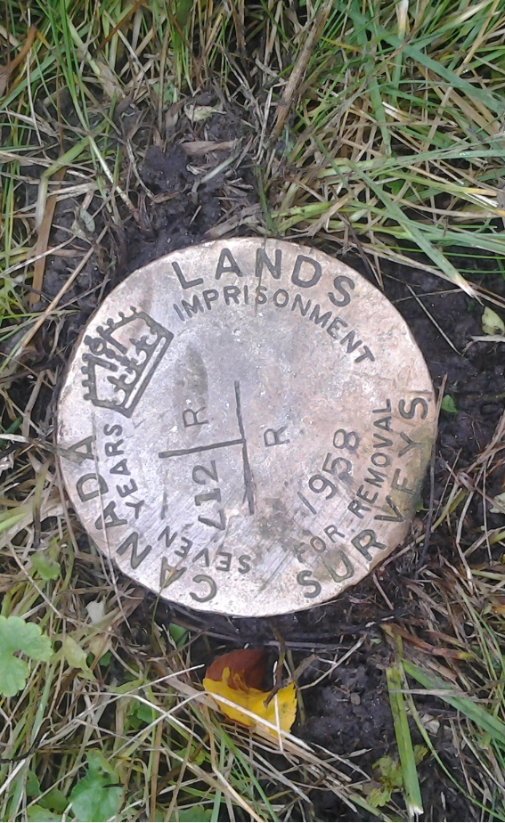 Survey marking 567X924