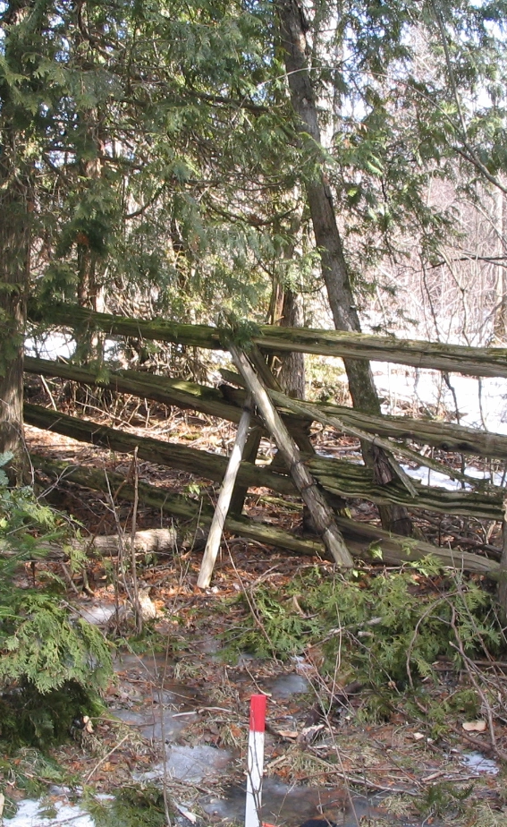 boundary line 567x924