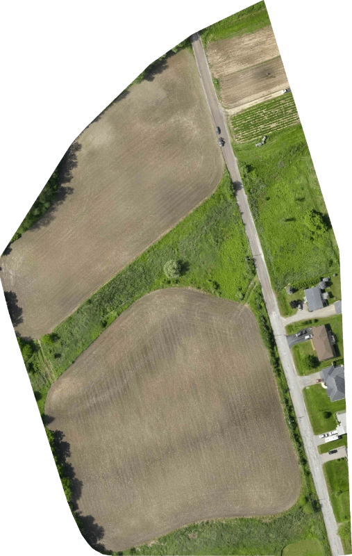 sample survey project 